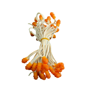 9mm SMD 12V Pixel LED Light (50 Bulbs) – Orange Color Decorative Lights